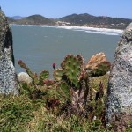 Praia do Rosa: um paraíso em Santa Catarina