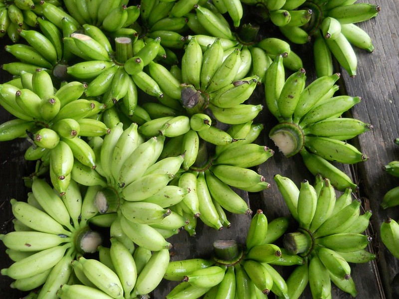 Aprenda a fazer biomassa de banana verde