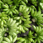 Aprenda a fazer biomassa de banana verde